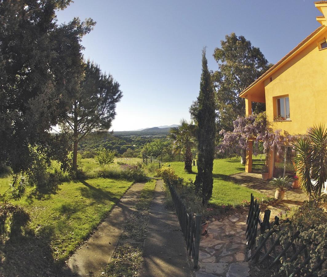 Gîte des Orgues de la Sybille Eucalyptus Extérieur photo